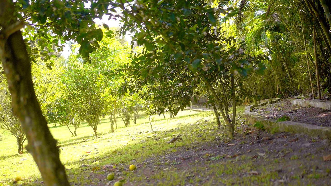 Pousada Bem Viver Ubatuba Buitenkant foto